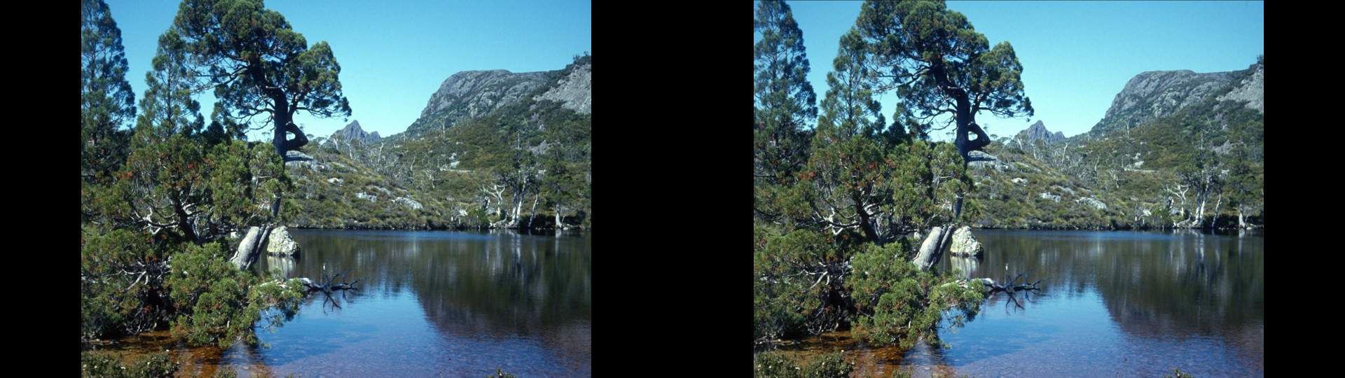 Wombat Tarn